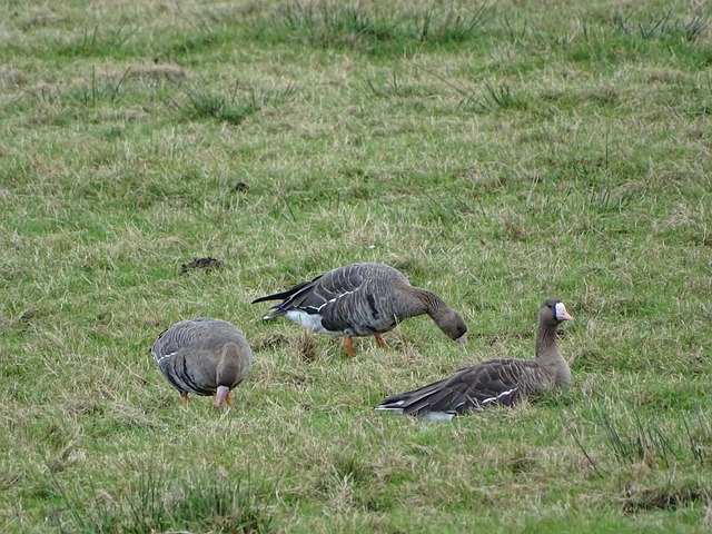 共同回顾这 共同回顾这
