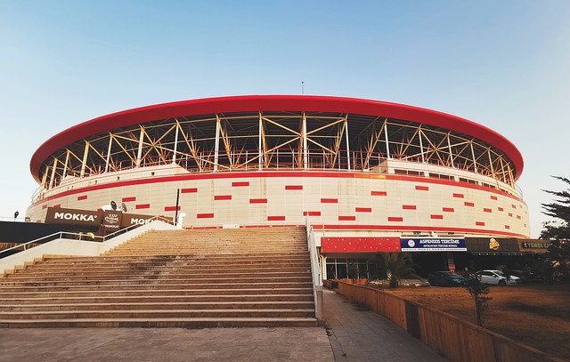 了一次绝妙 了一次绝妙