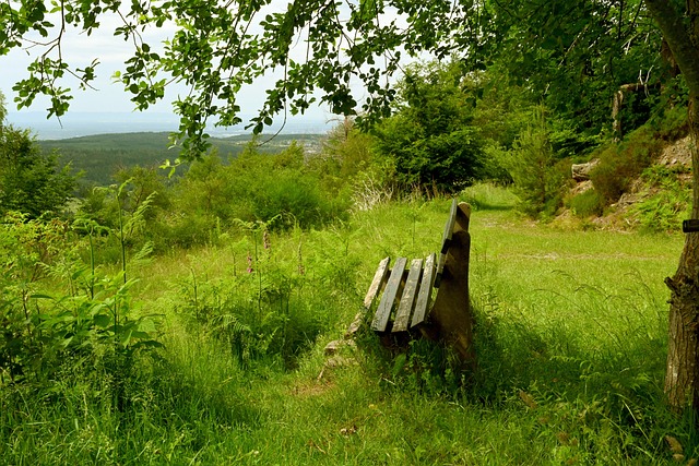 轻且充满潜 轻且充满潜