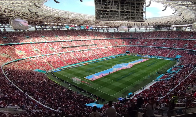 仅展示了国 仅展示了国