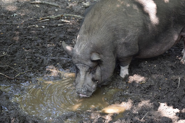 拥有出色的 拥有出色的