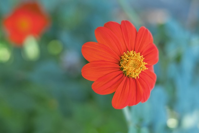 全体球员注 全体球员注