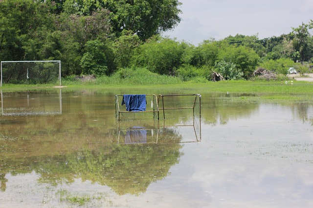交易助力湖 交易助力湖